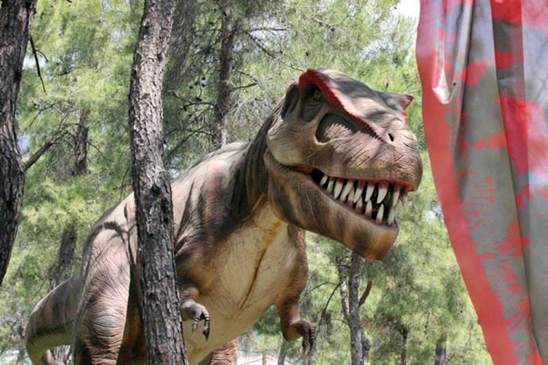 A visit to Dinopark offers a unique journey combining prehistoric wonder with family-friendly entertainment.